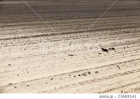 empty agricultural field   23669141