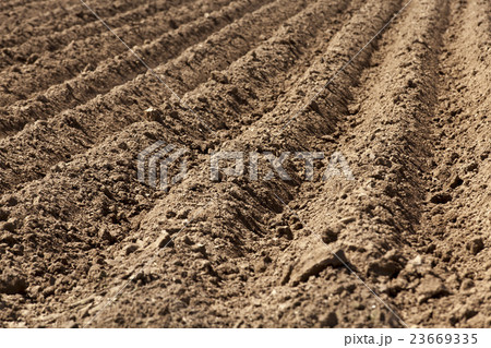 plowed land,  furrows   23669335