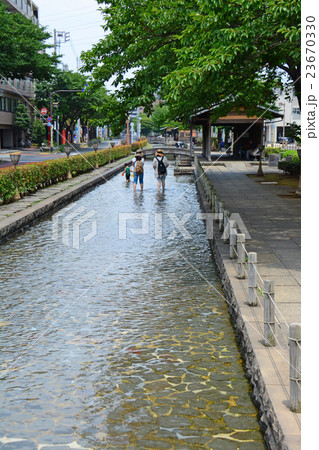 曳舟川浸水公園 曳舟川浸水公園 23670330