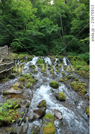 京極ふきだし湧水 23670915