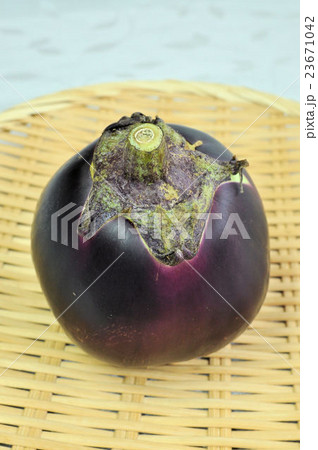 京の伝統野菜・賀茂なす 京の伝統野菜・賀茂なす 23671042