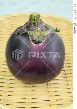京の伝統野菜・賀茂なす 23671044