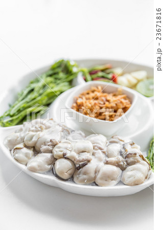Fresh Oyster Fresh Oyster 23671816