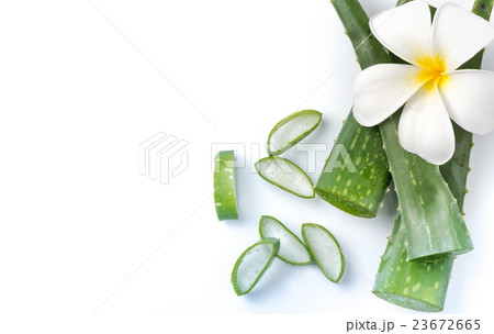 Aloe Vera sliced isolated 23672665