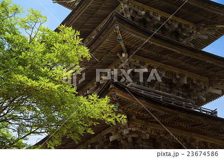 妙成寺07 23674586