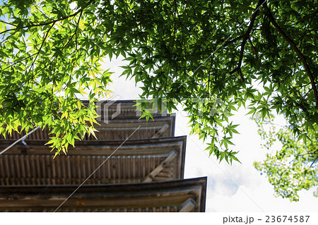 妙成寺08 妙成寺08 23674587
