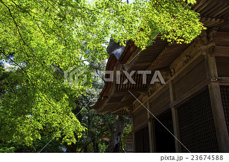 妙成寺09 妙成寺09 23674588