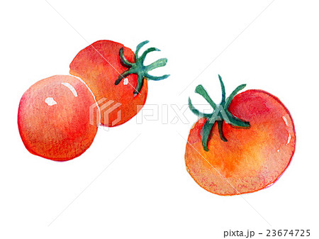 水彩イラスト トマトジュースのイラスト素材 23674725 Pixta