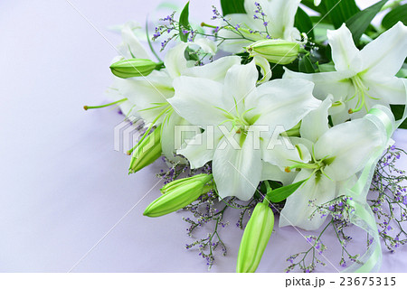 白ゆりの花束 白ゆりの花束 23675315