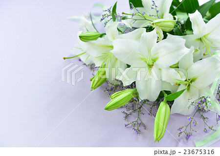 白ゆりの花束 23675316