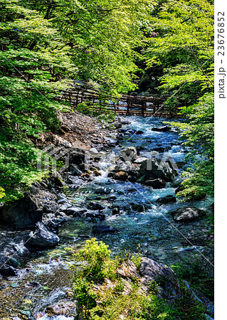奥祖谷二重かずら橋　男橋 23676852