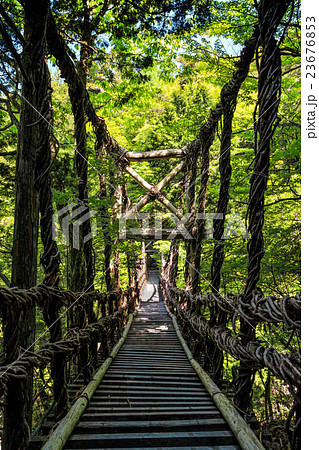 奥祖谷二重かずら橋 男橋 奥祖谷二重かずら橋 男橋 23676853