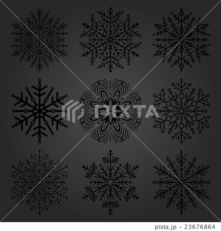 Set of Vector Snowflakes Set of Vector Snowflakes 23676864