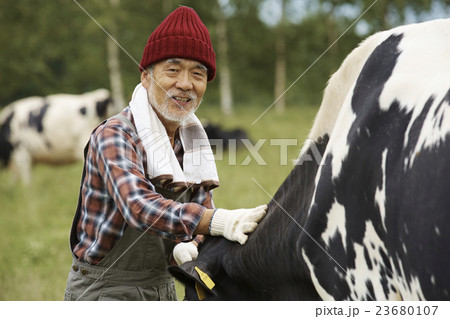 畜産　仕事風景 23680107