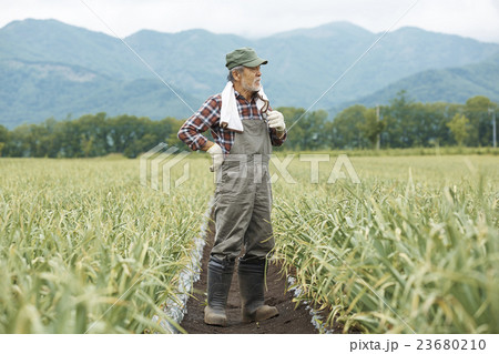 農家 仕事風景 農家 仕事風景 23680210