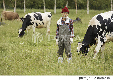 畜産　仕事風景 23680230