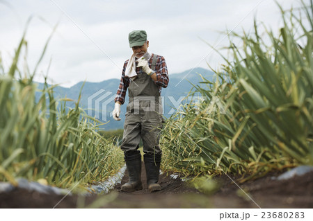 農家 仕事風景 農家 仕事風景 23680283