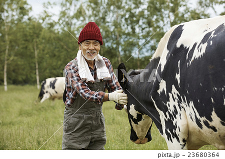 畜産　仕事風景 23680364