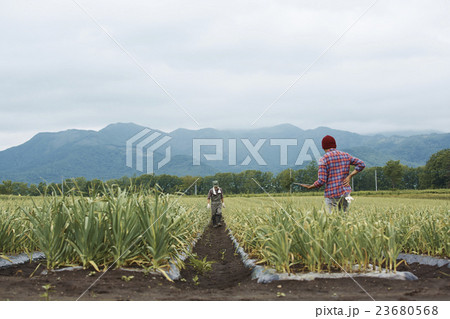 農家親子 作業風景 農家親子 作業風景 23680568