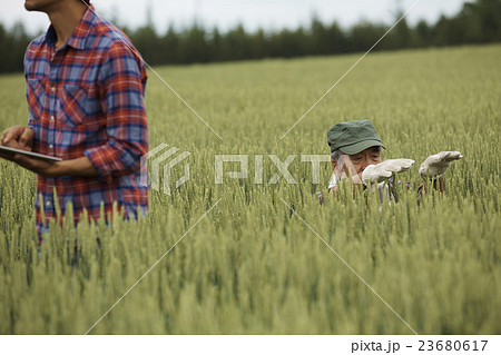 農家親子　作業風景 23680617