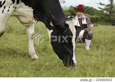 畜産　仕事風景 23680832