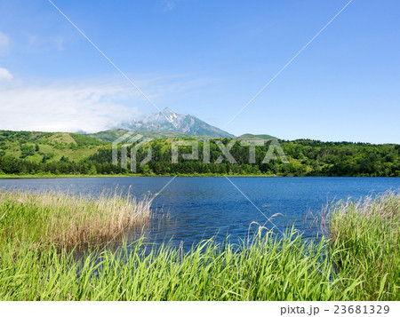 利尻島オタトマリ沼と利尻富士 23681329