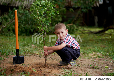 funny boy with shovel in garden funny boy with shovel in garden 23682465