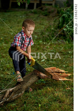 boy sawing fallen tree in garden boy sawing fallen tree in garden 23682492