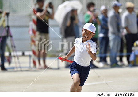 運動会 運動会 23683295