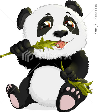 Very cute Panda eating bamboo Very cute Panda eating bamboo 23683330