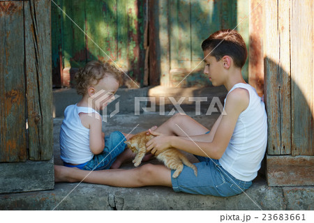 young boys with red kitten 23683661