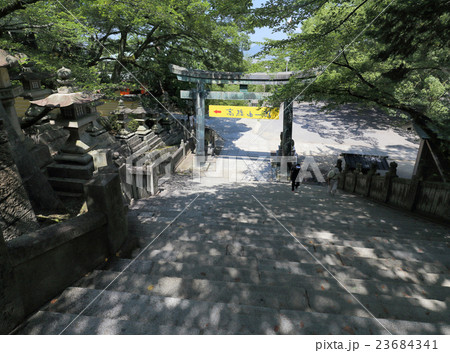 金刀比羅宮、書院前から桜馬場西詰銅鳥居を見る 金刀比羅宮、書院前から桜馬場西詰銅鳥居を見る 23684341