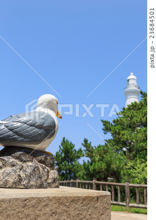 ウミネコの人形と日御碕灯台 ウミネコの人形と日御碕灯台 23684501