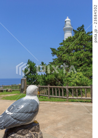 ウミネコの人形と日御碕灯台 ウミネコの人形と日御碕灯台 23684502