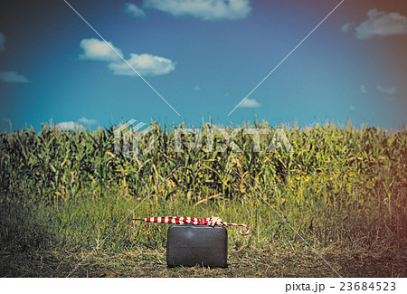 suitcase and umbrella 23684523