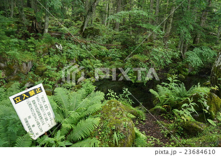 オンネトー湯の滝のマンガン鉱床 23684610