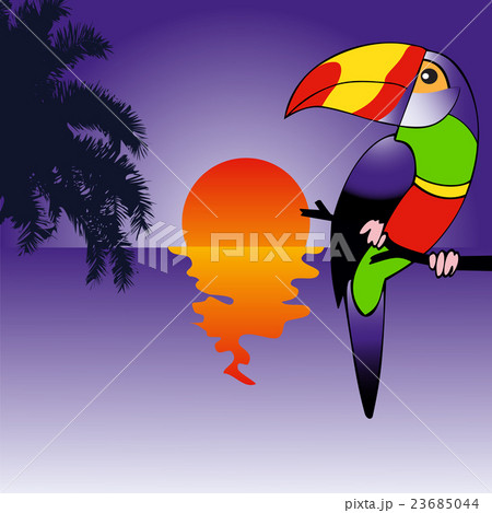 Background with brightly colored parrot 23685044