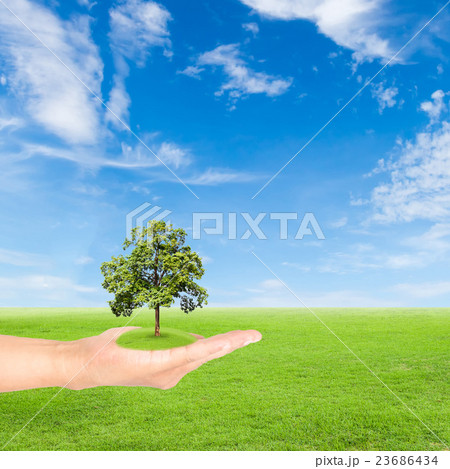 Green Earth concept,hand holding tree Green Earth concept,hand holding tree 23686434