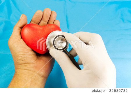 check heart up by stethoscope 23686783