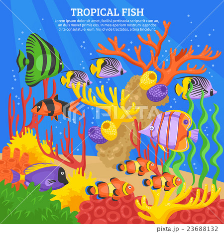 Tropical Fish Sea Background  23688132