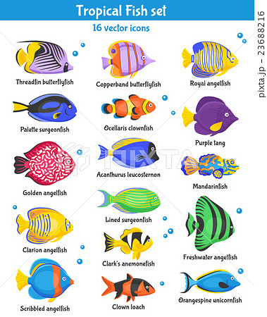 Tropical Fish Icons Set Tropical Fish Icons Set 23688216