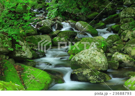 世界遺産　橋野高炉跡　渓流 23688793