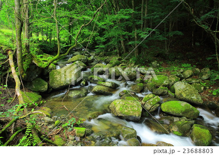 世界遺産　橋野高炉跡　渓流 23688803