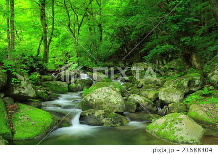 世界遺産　橋野高炉跡　渓流 23688804