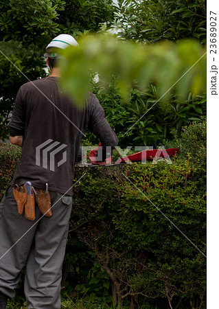 庭師 庭師 23689027