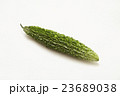 夏野菜のゴーヤ 23689038