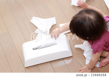 赤ちゃん いたずら ベビー 幼児 女の子 1才 1歳 ティッシュ ちり紙 鼻紙 フローリング 床 の写真素材