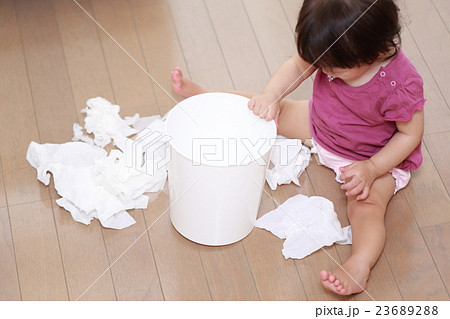 赤ちゃん いたずら ベビー 幼児 女の子 1才 1歳 ティッシュ ちり紙 鼻紙 フローリング 床 の写真素材 2362