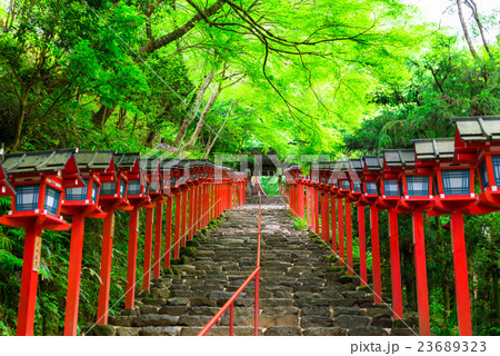 京都　貴船神社 23689323