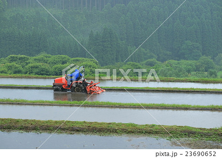 田植の準備　坂元棚田 23690652